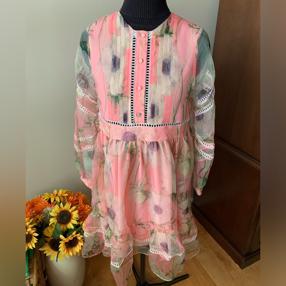 Cynthia Rowley Poppy Organza Peach Dress - Picture 5 of 15